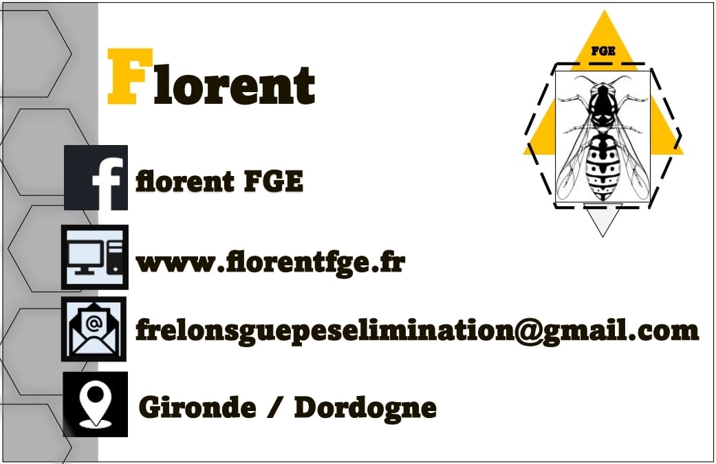florentfge 2