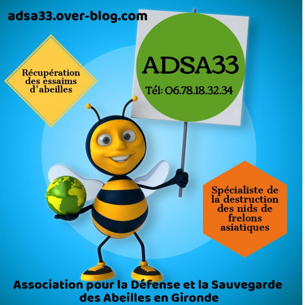 logo-adsa33